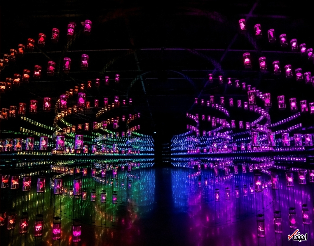 افتتاح موزه جدید دبی/ ترکیبی از فناوری و معماری+تصاویر