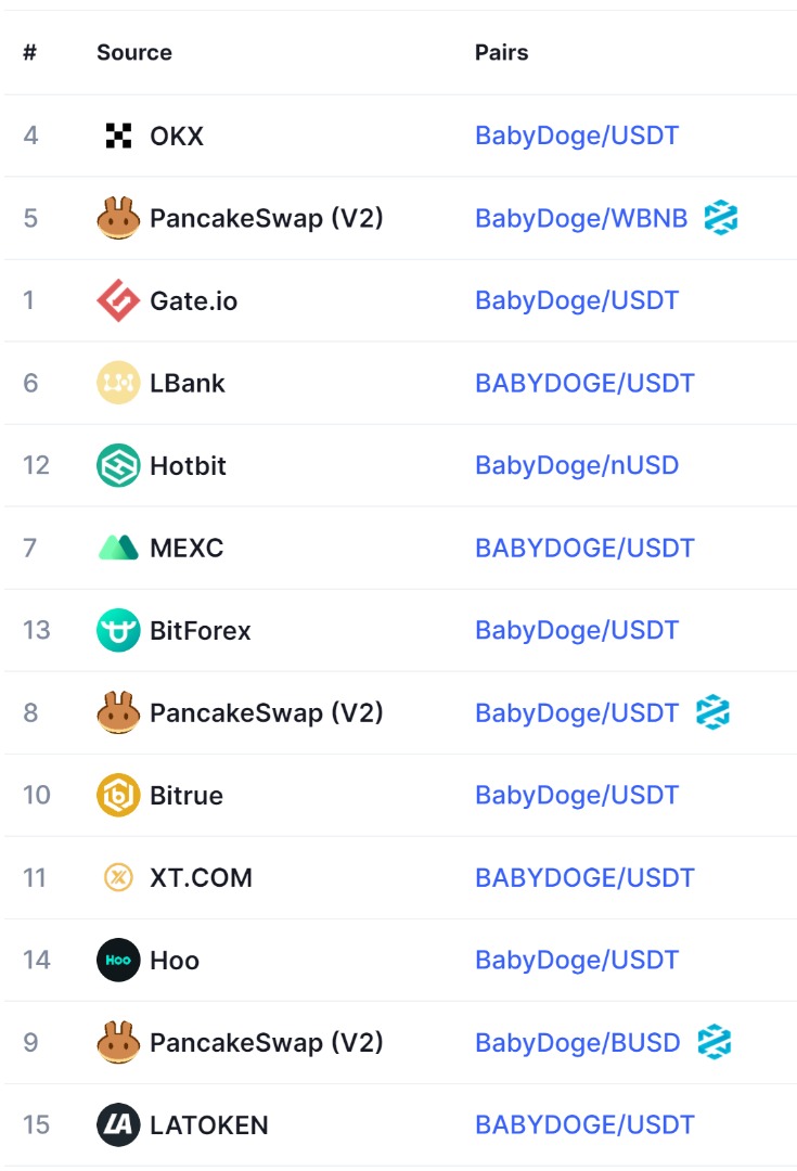 بیبی دوج (Baby Doge) چیست؟ با ارز دیجیتال پرطرفدار سال 2022 آشنا شوید
