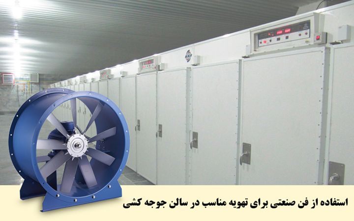 تجهیزات مورد نیاز مرغداری ها در تابستان 1400