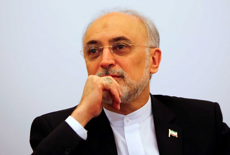 علی اکبر صالحی:  درحال بررسی موضوع کاندیداتوری ام هستم / اگر به قطعیت رسیدم، فردا یا پس فردا به وزارت کشور مراجعه می&zwnj;&zwnj;کنم
