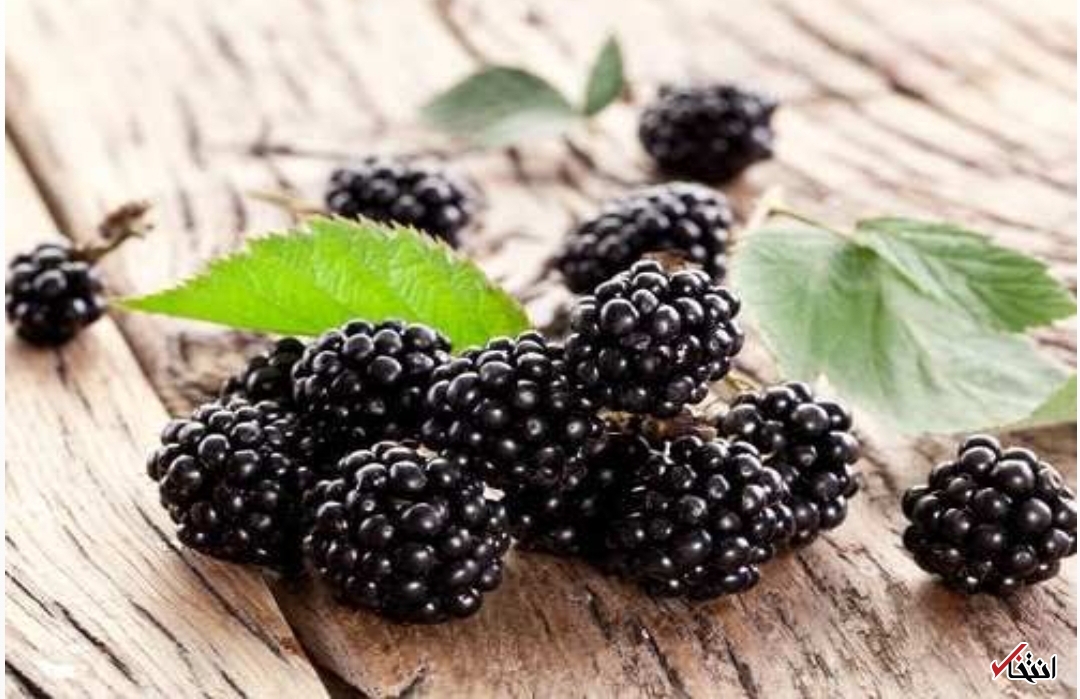 توت سیاه توت سیاه