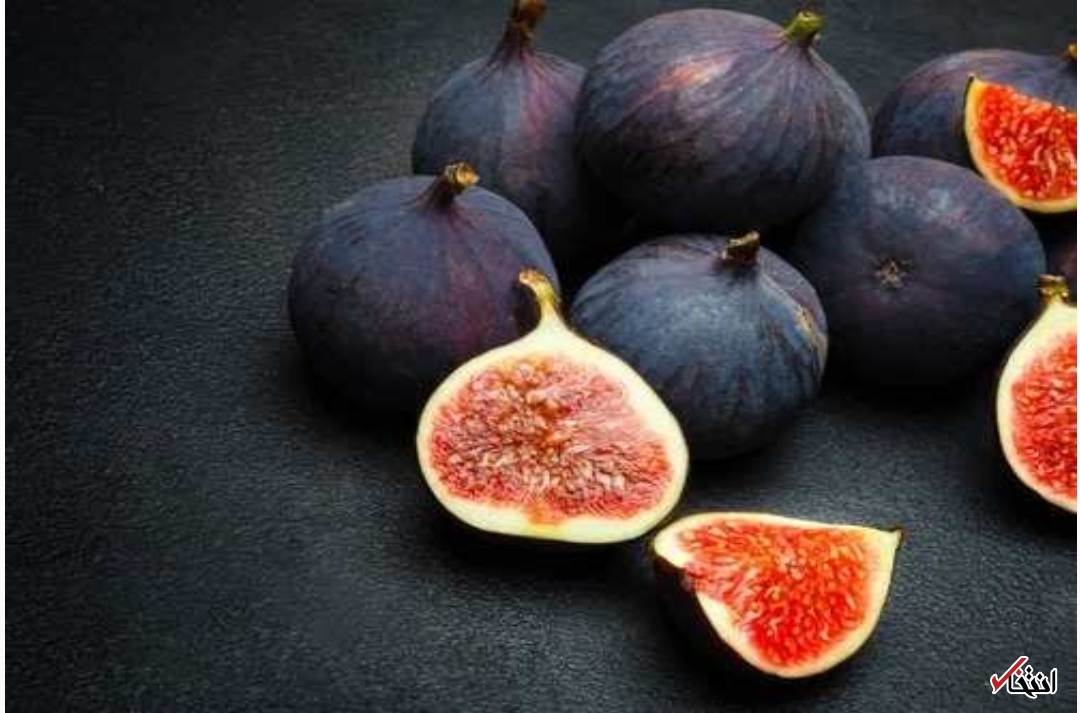 انجیر سیاه انجیر سیاه