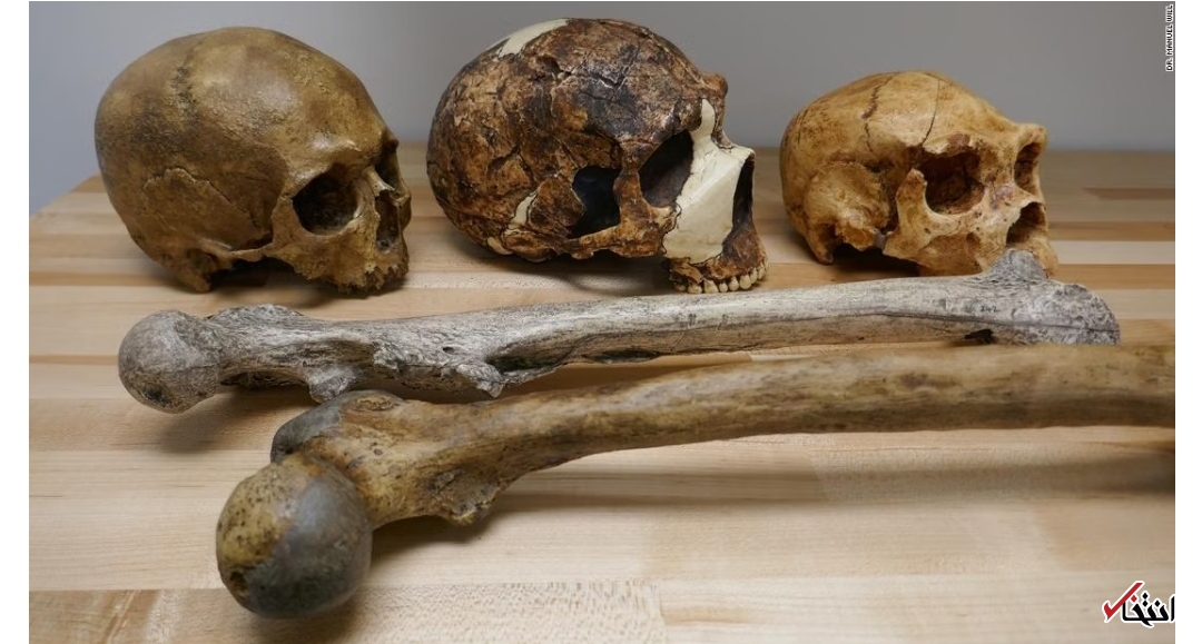 تغییر اندازه مغز انسان تحت تأثیر تغییرات آب و هوایی