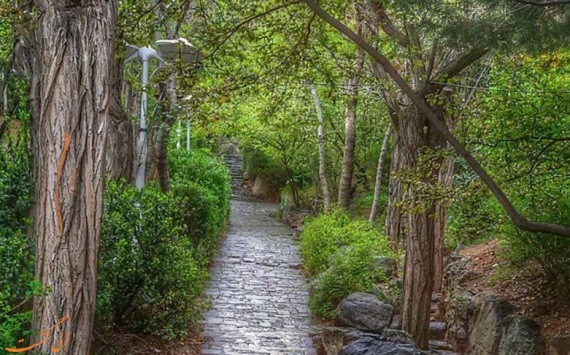 با سه پاتوق برای گشت و گذار در نیاوران آشنا شوید