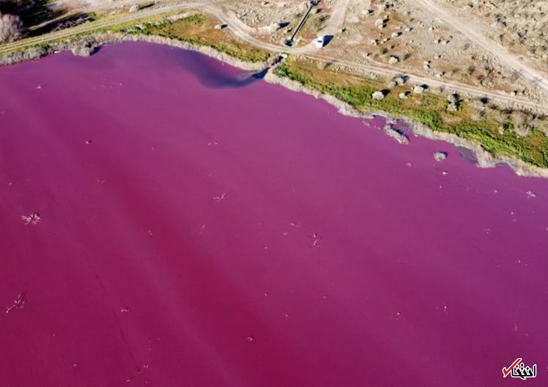 یک آلودگی محیط زیستی