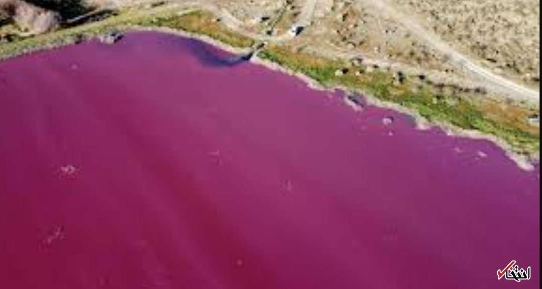 یک آلودگی محیط زیستی فوق العاده زیبا! +تصاویر