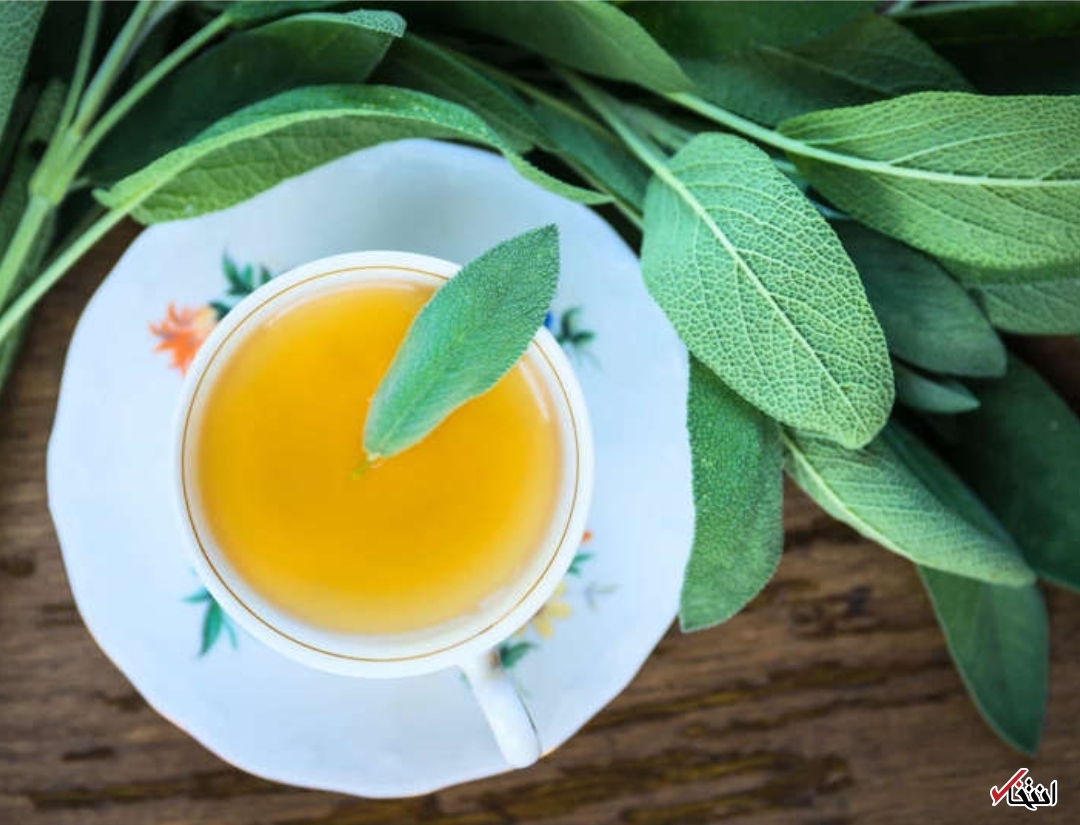 چای مریم گلی