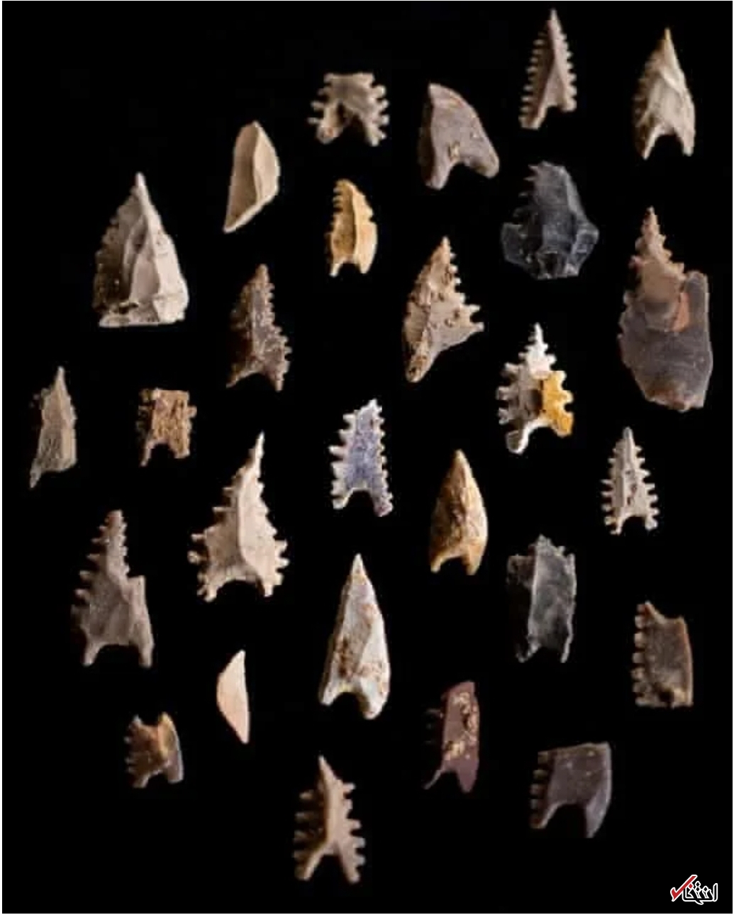 کشف فسیل&nbsp; سالم