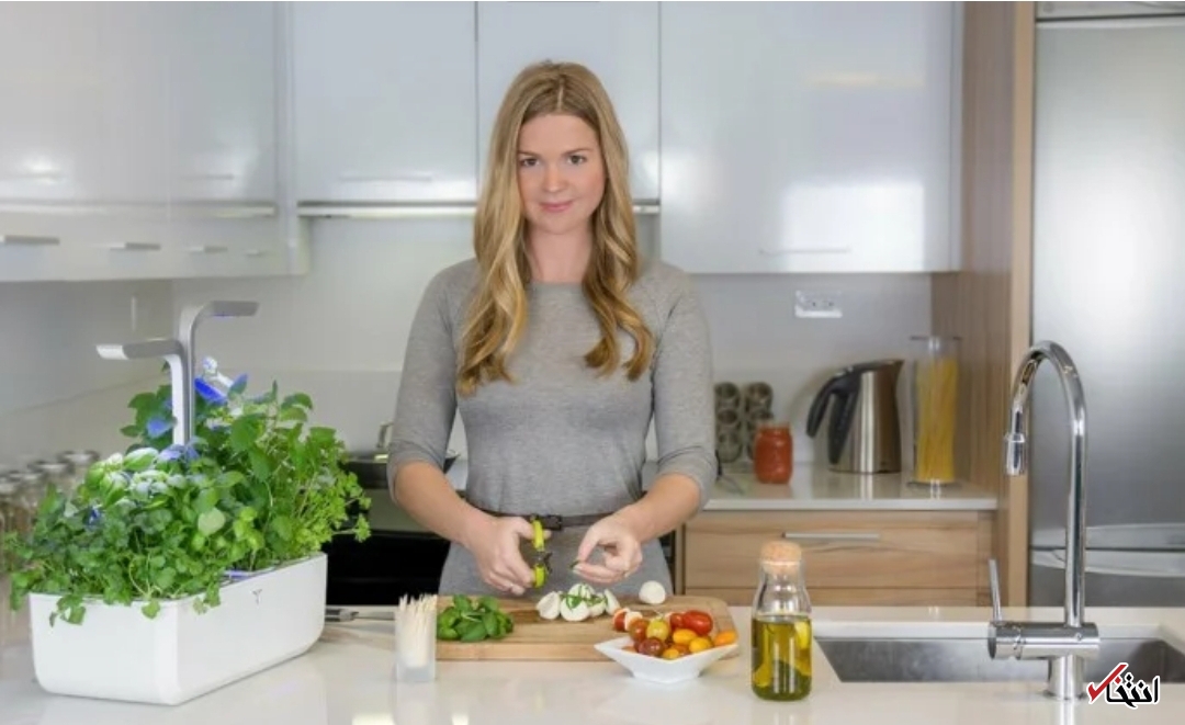 باغچه هوشمند با نور LED خودکار + تصاویر