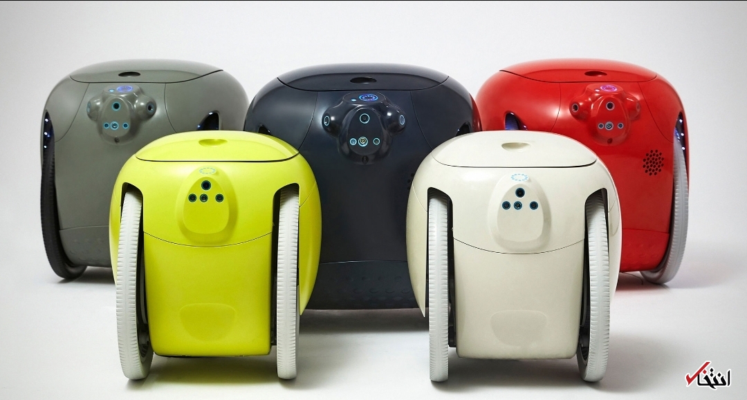 ربات هوشمندی که بار&zwnj;های شما را حمل می&zwnj;کند+تصاویر