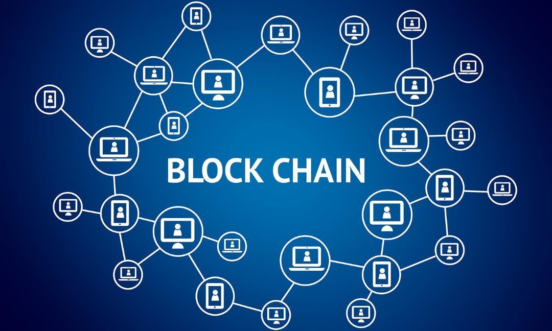 تراکنشهای بیتکوین را با مرورگر اختصاصی نوبیتکس پیگیری کنید تراکنشهای بیتکوین را با مرورگر اختصاصی نوبیتکس پیگیری کنید