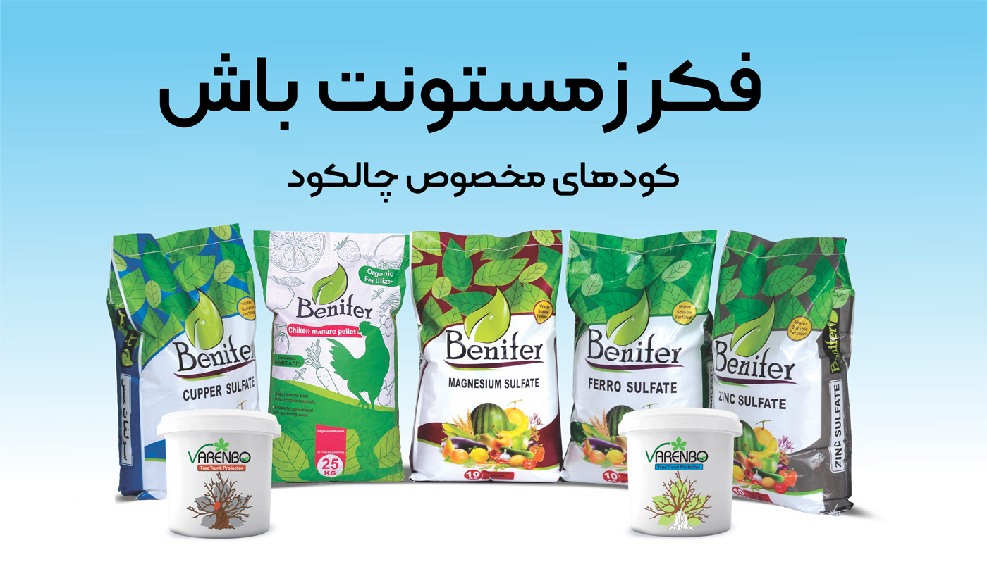 آیا درختان در زمستان نیاز به تغذیه دارند؟ چالکود چیست؟ آیا درختان در زمستان نیاز به تغذیه دارند؟ چالکود چیست؟