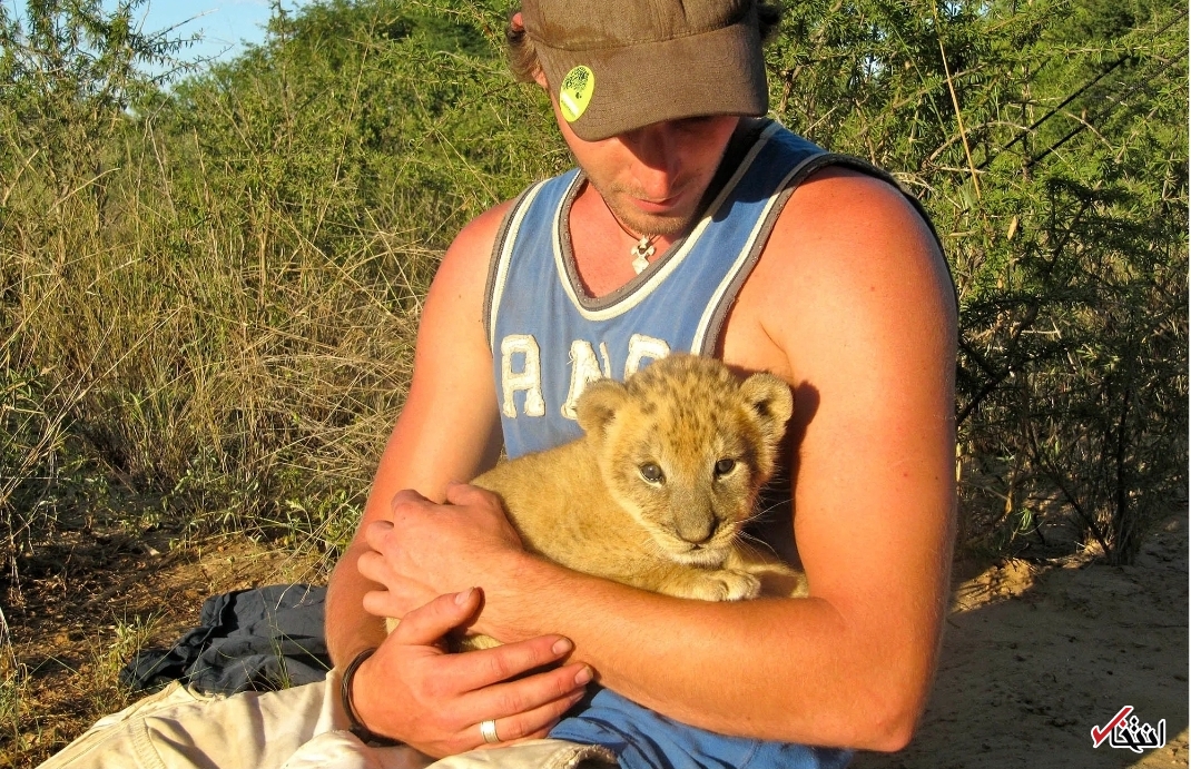 لحظه باورنکردنی باز شدن آغوش شیر به روی انسان+تصاویر