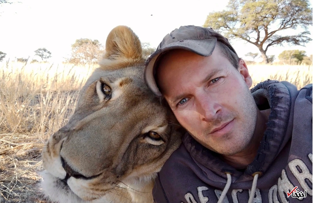 لحظه باورنکردنی باز شدن آغوش شیر به روی انسان+تصاویر