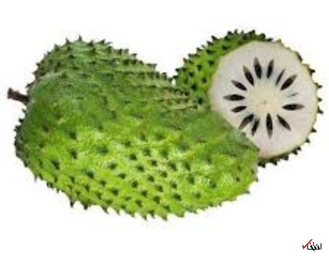 خوراکی کمیاب و عجیبی که با سرطان می&zwnj;جنگد