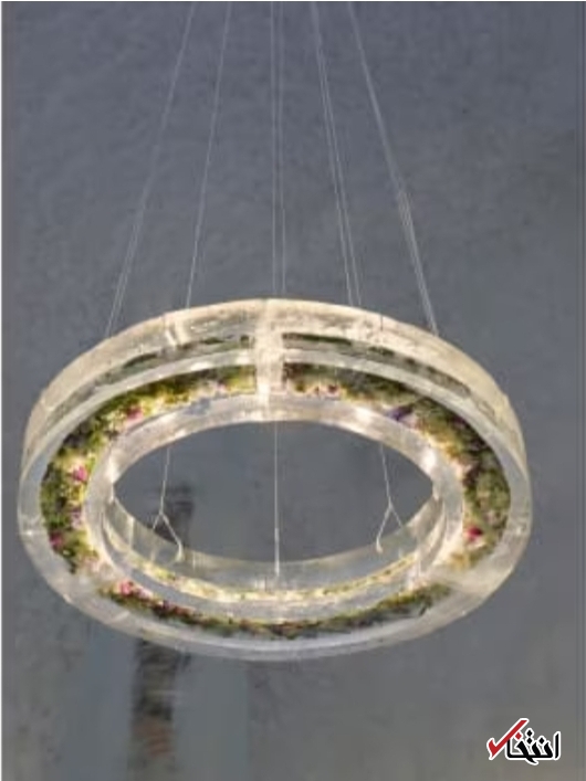 اقامت در هتل یخی با جادوی عطر گیاهان معطر+تصاویر