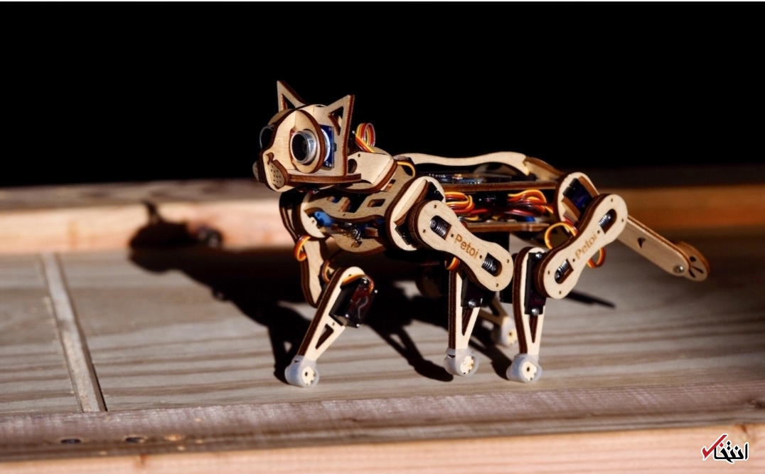 گربه رباتیکی که معلم برنامه نویسی است+تصاویر