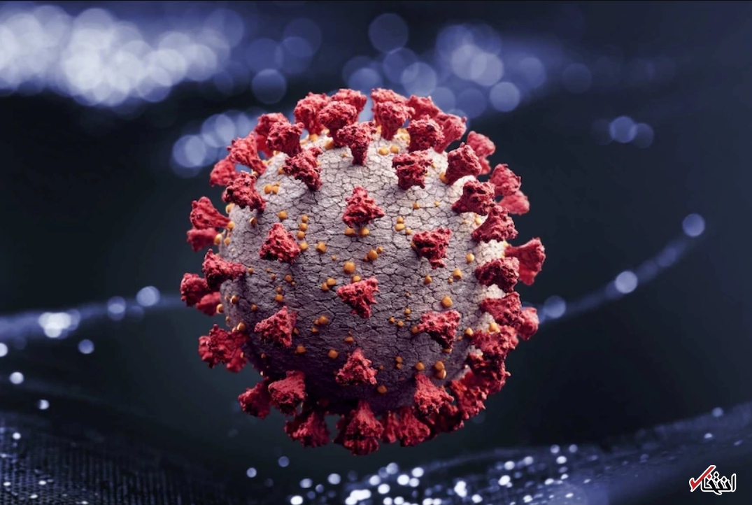 همه چیز درباره سویه اُمیکرون کرونا/پاسخ به سوالاتی که نگرانتان کرده اند همه چیز درباره سویه اُمیکرون کرونا/پاسخ به سوالاتی که نگرانتان کرده اند