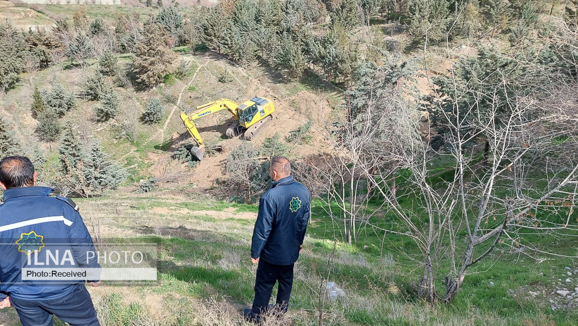 واکنش عضو شورا به تکذیب قطع ۲۰۰ اصله درخت در دانشگاه تهران: عکس&zwnj;ها گویای قتل عام درختان است / عوامل آن مجموعه قصد داشتند یکی از کارکنان شهرداری را از بالا به پایین بیاندازد