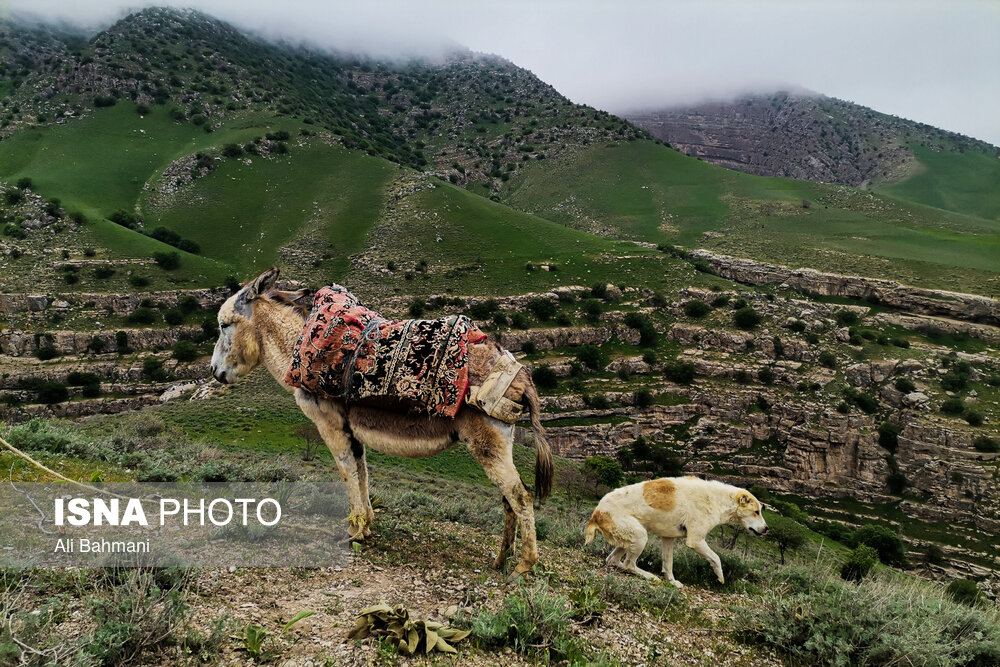 تصاویر: دره &laquo;ارغوان&raquo;