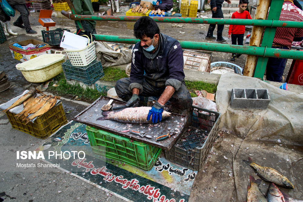 تصاویر: بازگشایی جمعه بازار &laquo;جویبار&raquo; پس از دو سال