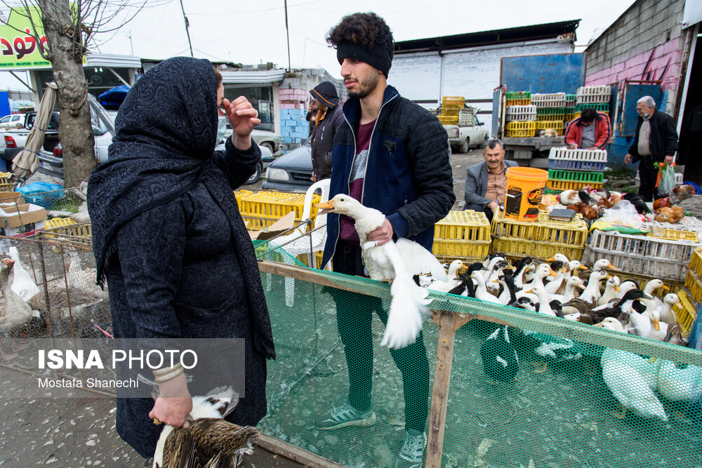 تصاویر: بازگشایی جمعه بازار &laquo;جویبار&raquo; پس از دو سال