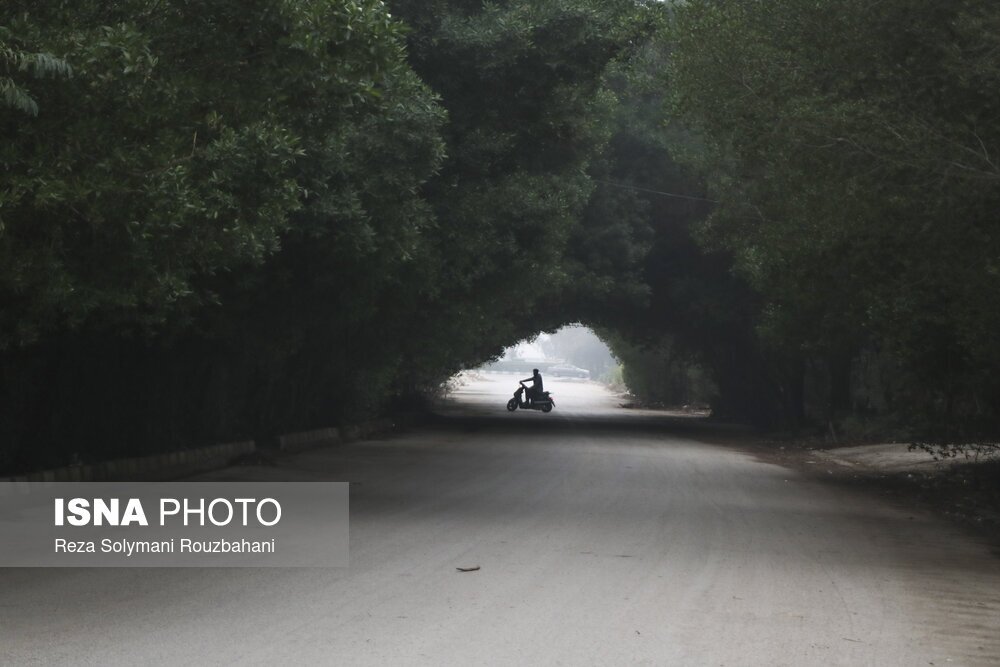 تصاویر: مه‌آلودگی اهواز