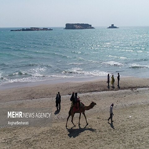 تصاویر: جزیره ناز قشم