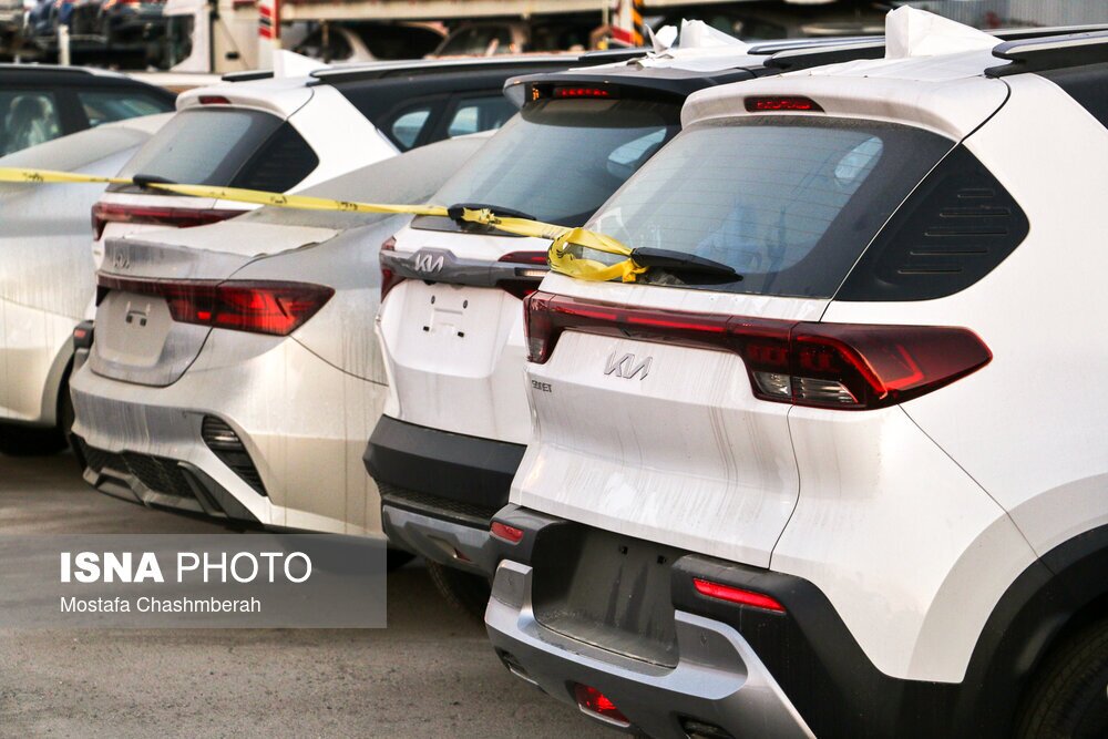 تصاویر: ترخیص نخستین محموله خودروهای وارداتی - بندرلنگه