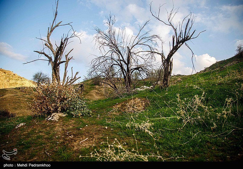 تصاویر: خوزستان بر لبه تیغ چم‌شیر