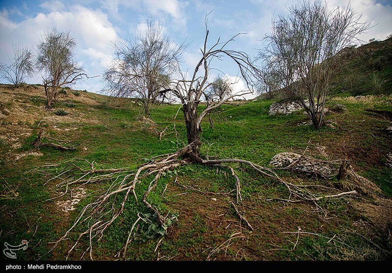 تصاویر: خوزستان بر لبه تیغ چم‌شیر