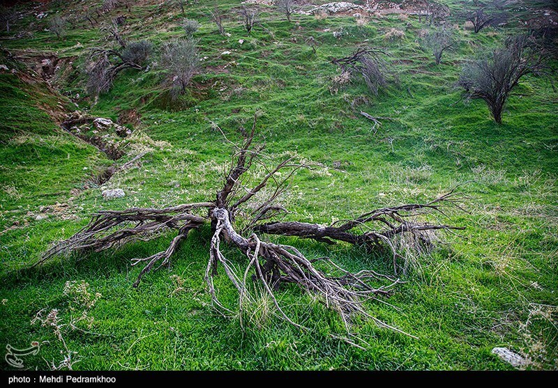 تصاویر: خوزستان بر لبه تیغ چم‌شیر