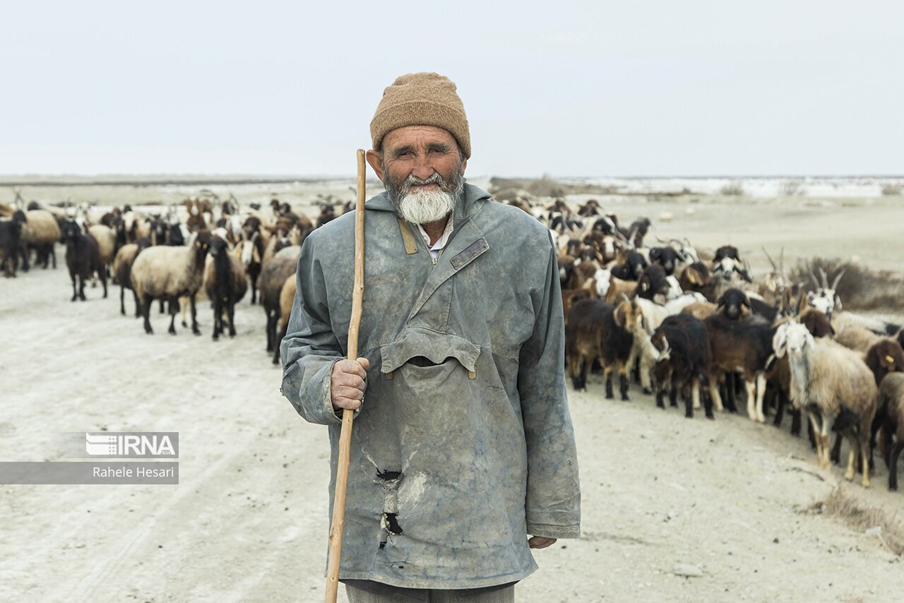 تصاویر: ظهور جزایر نمکی در گمیشان