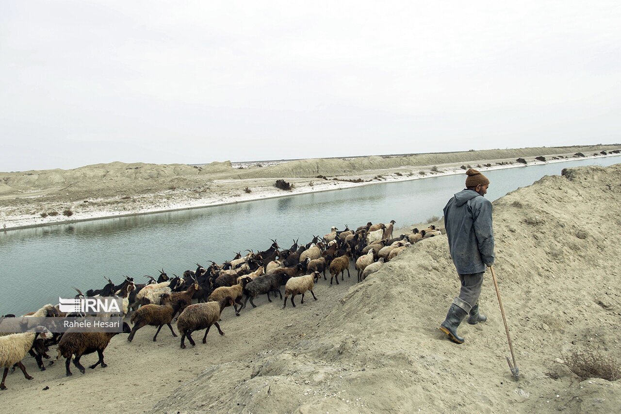 تصاویر: ظهور جزایر نمکی در گمیشان
