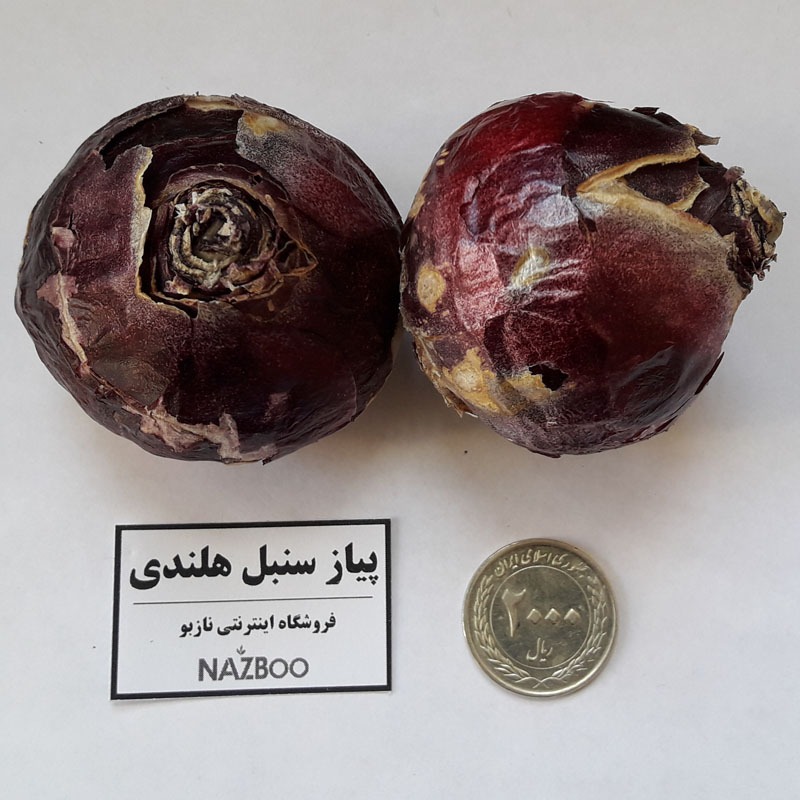 خرید پیاز سنبل و گل مریم، با کیفیت و ضمانت برتر