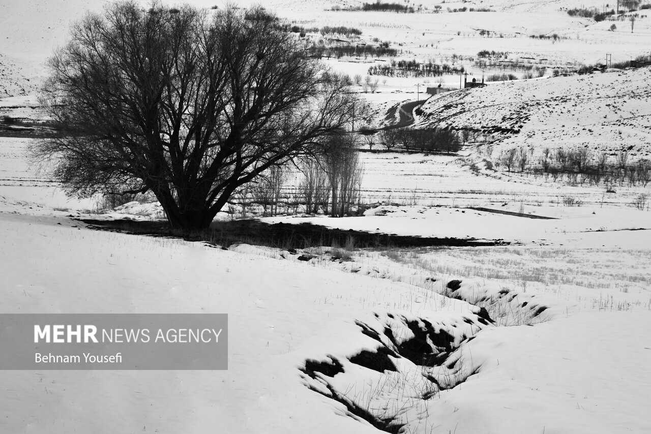 تصاویر: فصل رویایی زمستان