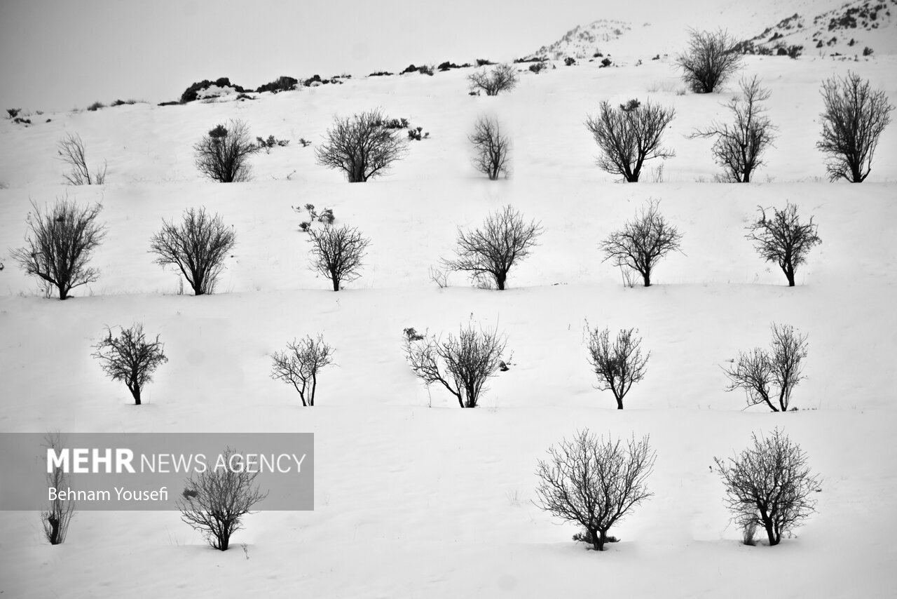 تصاویر: فصل رویایی زمستان