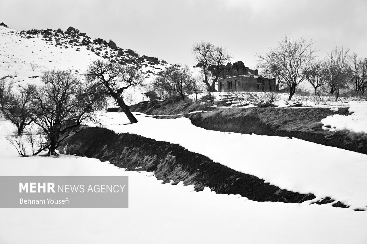 تصاویر: فصل رویایی زمستان