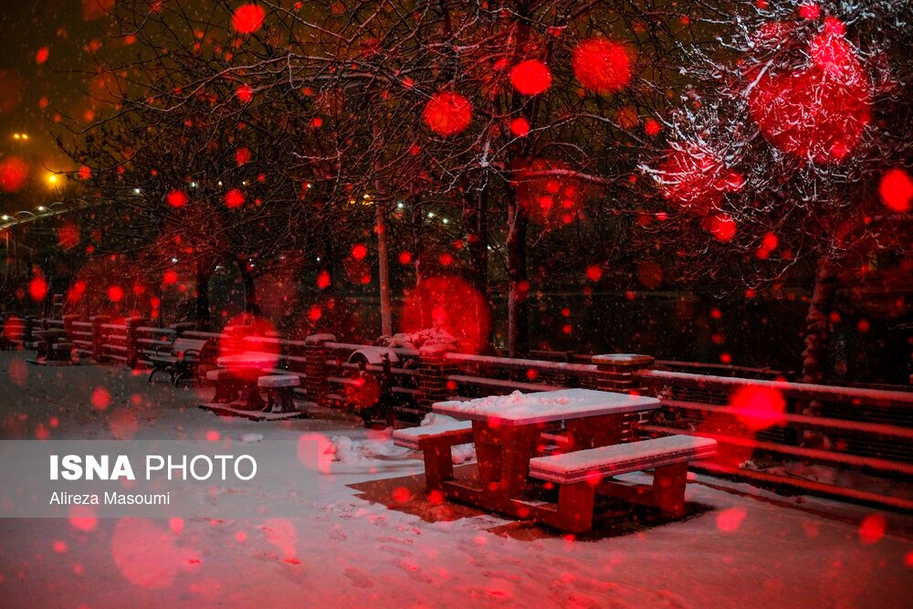 تصاویر: شب‌های روشن