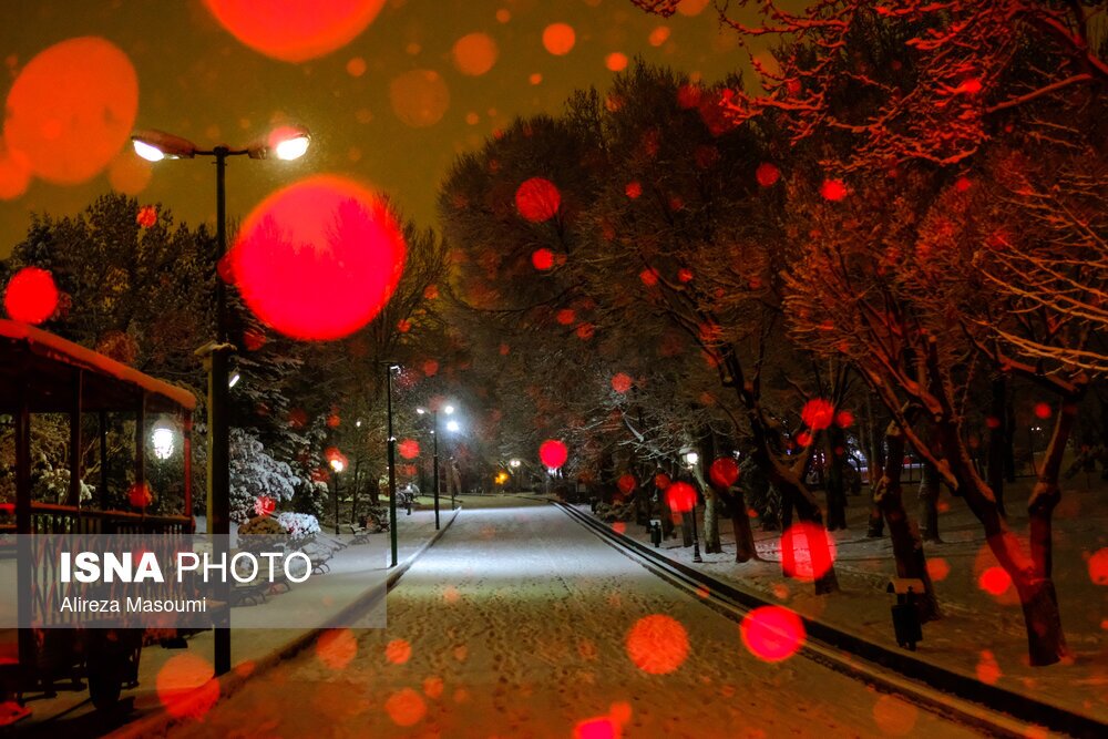 تصاویر: شب‌های روشن