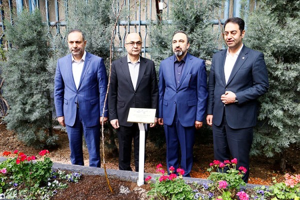 کاشت نهال کاشت نهال
