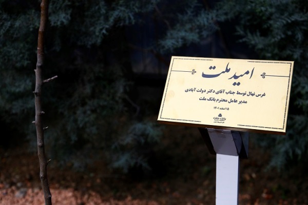 کاشت نهال کاشت نهال