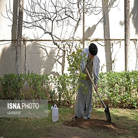تصاویر: کاشت سه اصله نهال میوه توسط مقام معظم رهبری