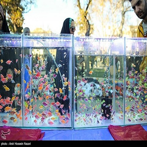 تصاویر: حال و هوای بازار قزوین در روزهای پایان سال