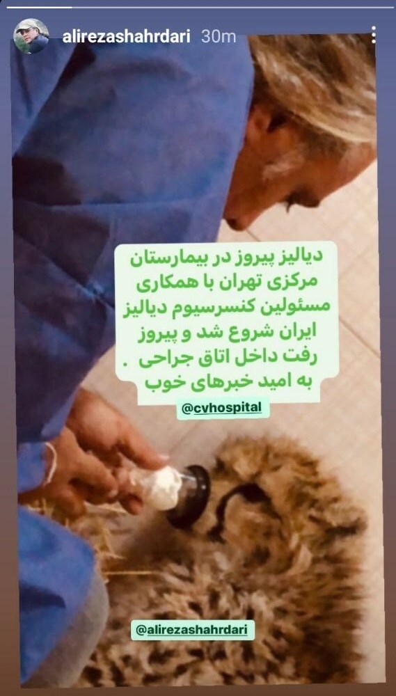 دیالیز «پیروز» شروع شد دیالیز «پیروز» شروع شد