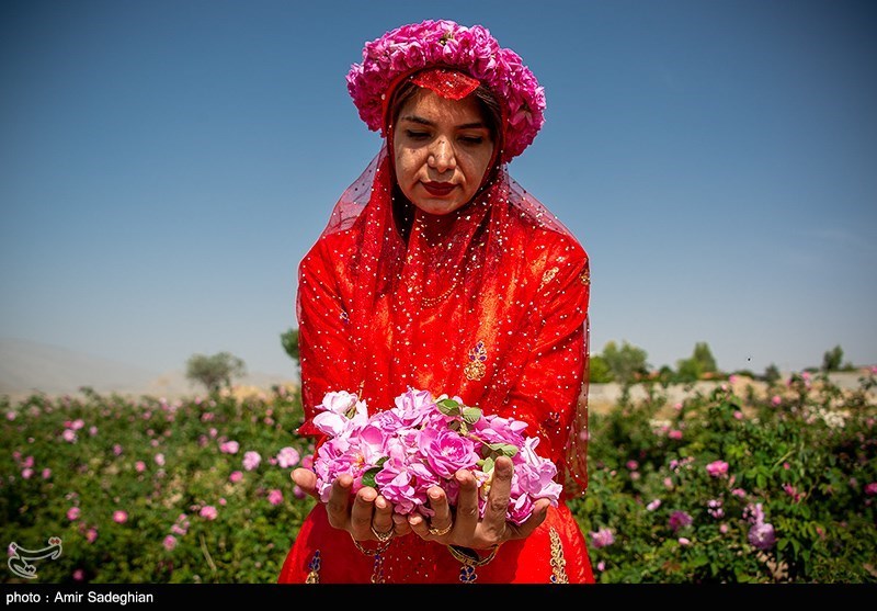 تصاویر: جشنواره گل و گلاب میمند - فارس