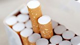 سیگاری‌ها سالی یک میلیون نفر را می‌کشند!