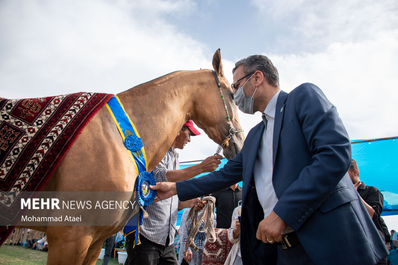 تصاویر: شانزدهمین جشنواره ملی &laquo;اسب اصیل ترکمن&raquo; در گلستان