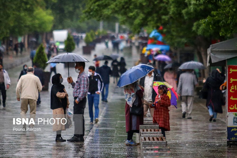 تصاویر: طراوت باران بهاری - همدان