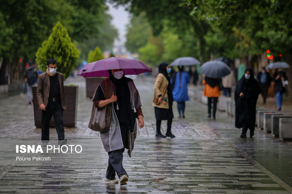 تصاویر: طراوت باران بهاری - همدان